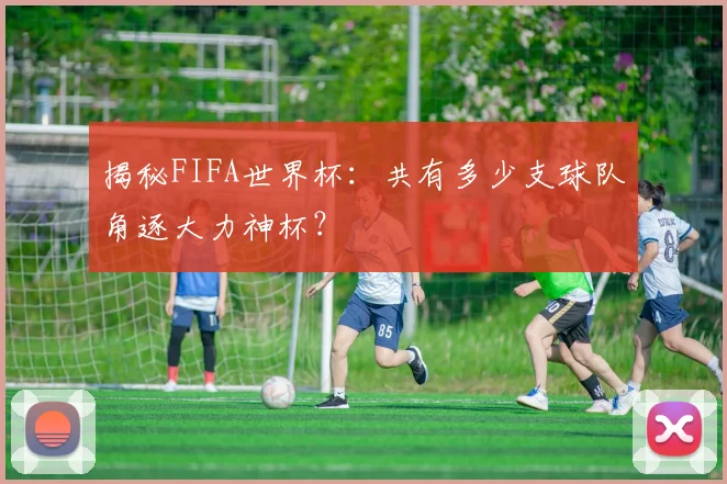 揭秘FIFA世界杯：共有多少支球队角逐大力神杯？